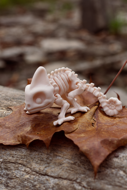 Skeleton Chameleon; Seasonal Limited Time Only!