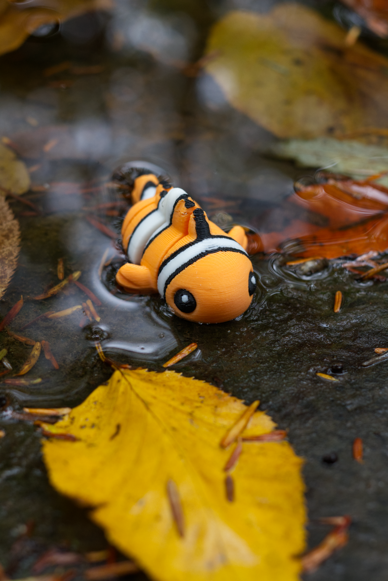 Clown Fish 3D Printed