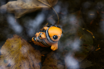 Clown Fish 3D Printed