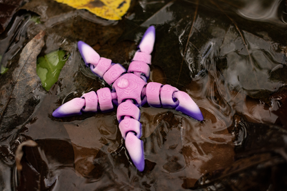 Articulated Starfish 3D Printed Pla