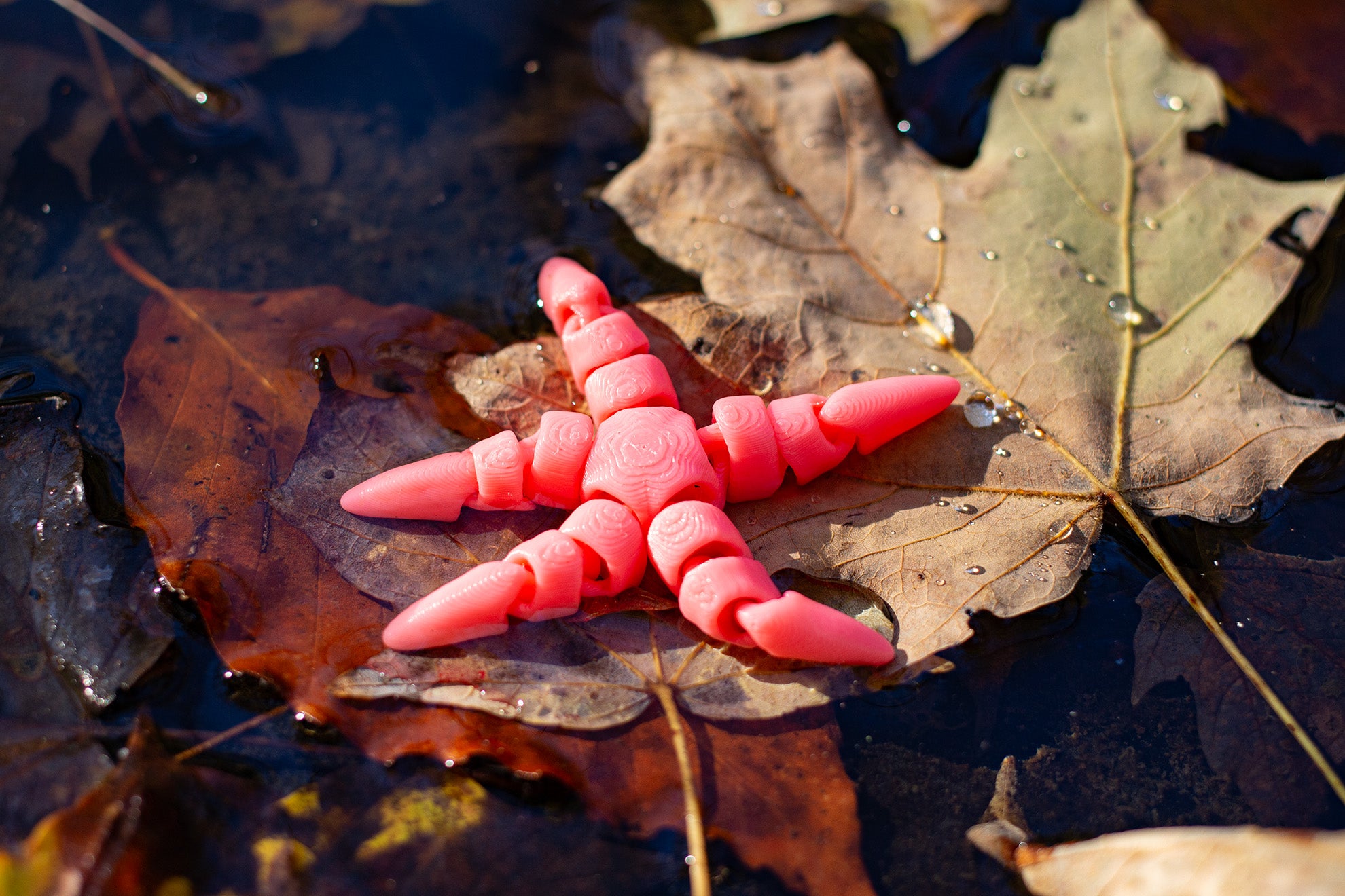 Articulated Starfish 3D Printed Pla